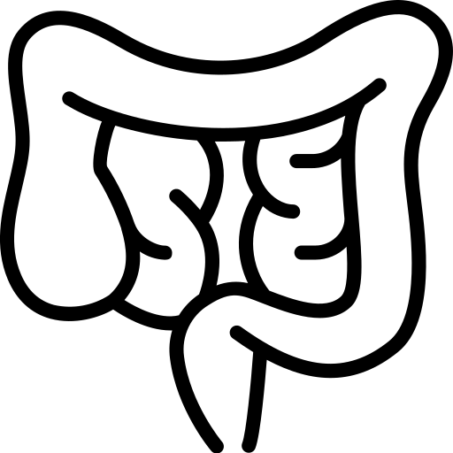 Ректоцеле