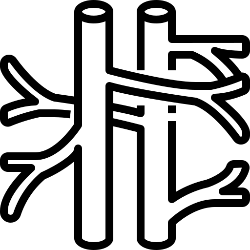 Веногенная дисфункция